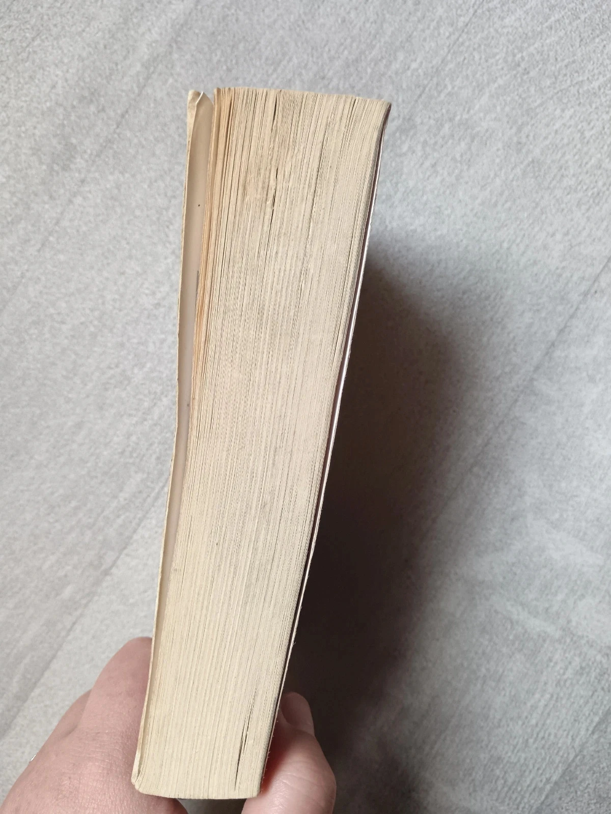 Livre Levy – photo 3